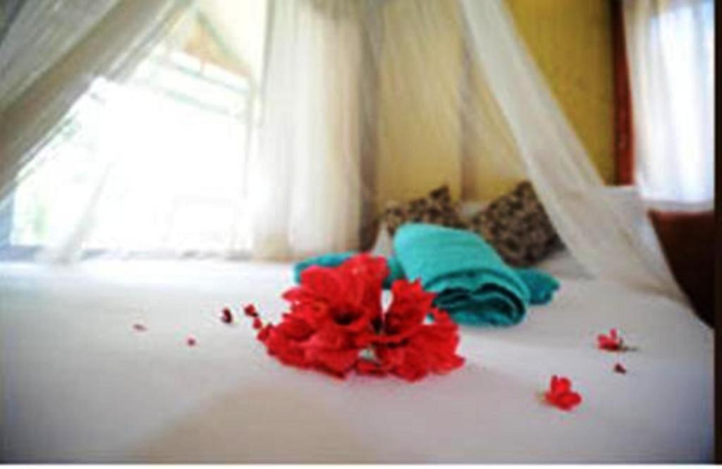Smile Bungalow Bottle Beach Zimmer foto